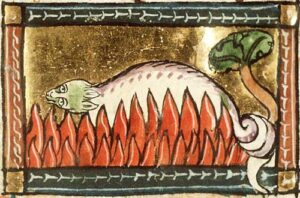 A salamander unharmed in the fire. Circa 1350. Koninklijke Bibliotheek, KB, KA 16, Folio 126r 