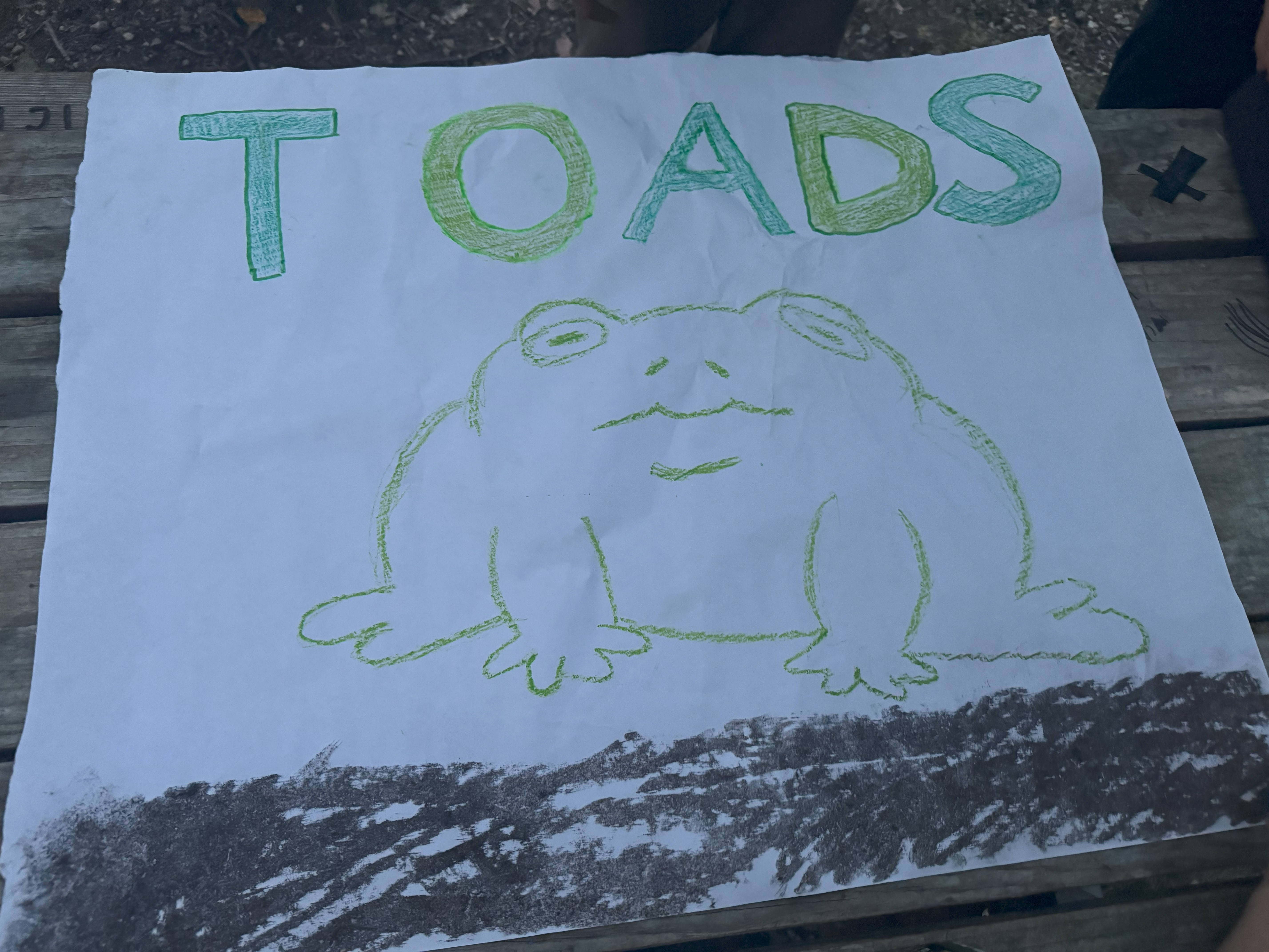 A hand drawn picture of a toad from a 4H camper is evidence that a love of herpetofauna began for some of the camper at 4H camp.