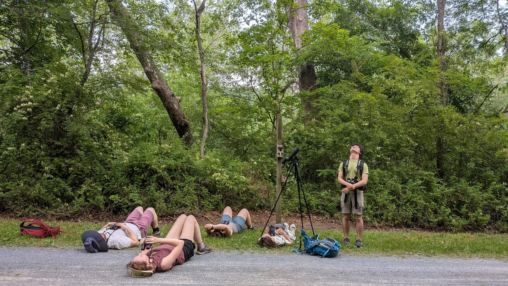 Many birders contribute detailed scientific records on a very regular basis.
