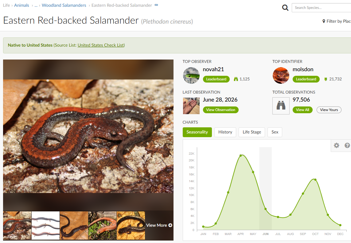 The eastern red-backed salamander page on iNaturalist, a global citizen science project.